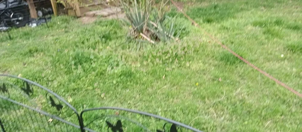 Expert lawn mowing service in Roanoke, VA - Roshawn's Small-Scale Landscaping