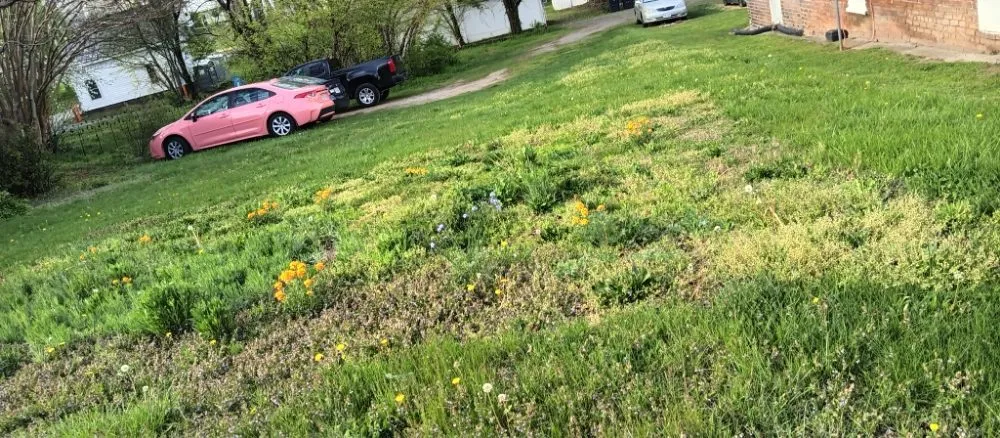 Local landscape design for beautiful yards across Roanoke, VA - Roshawn's Small-Scale Landscaping