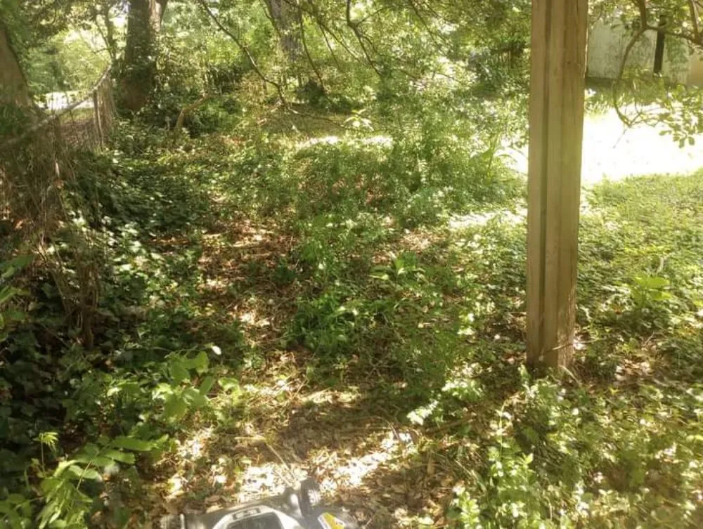 Local garden landscaping near you in Roanoke, VA by Roshawn's Small-Scale Landscaping