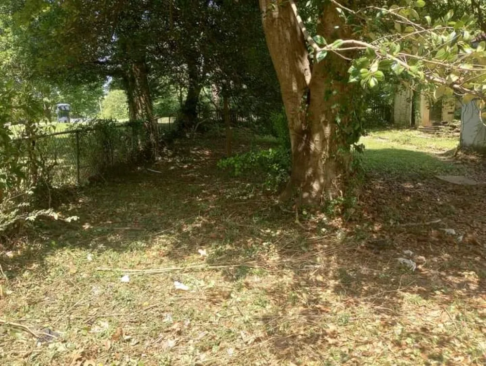 Affordable garden landscaping for beautiful yards across Roanoke, VA - Roshawn's Small-Scale Landscaping