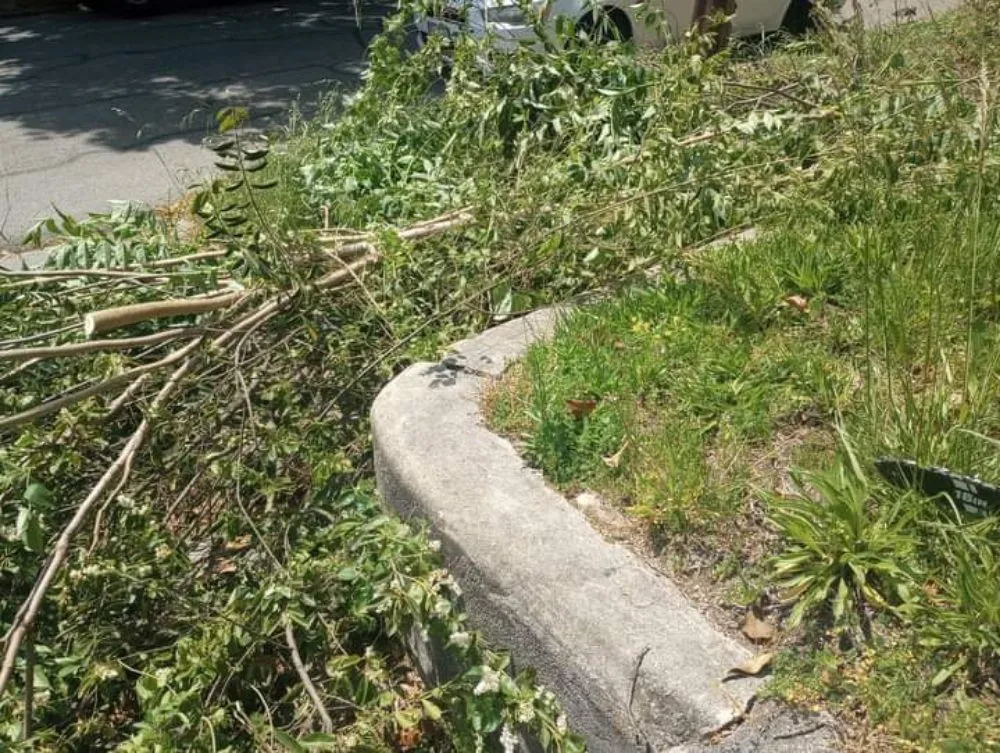 Local lawn mowing service for year-round maintenance across Roanoke, VA - Roshawn's Small-Scale Landscaping