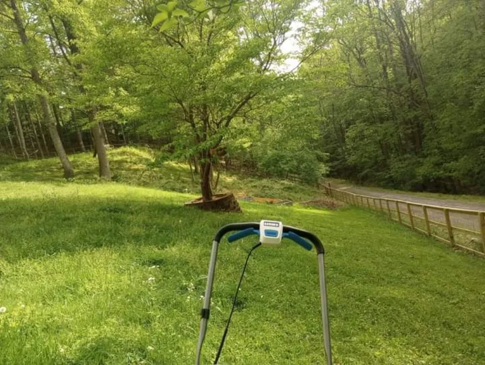 Professional lawn mowing service near you in Roanoke, VA by Roshawn's Small-Scale Landscaping