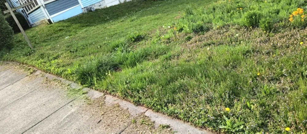 Reliable lawn mowing service in Roanoke, VA - Roshawn's Small-Scale Landscaping