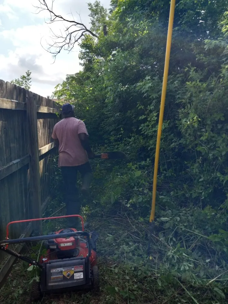 Affordable garden landscaping experts serving Bossier City, LA - Rosie Lee's Services