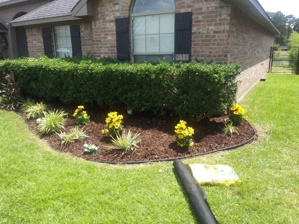 Professional residential landscaping experts serving Bossier City, LA - Rosie Lee's Services