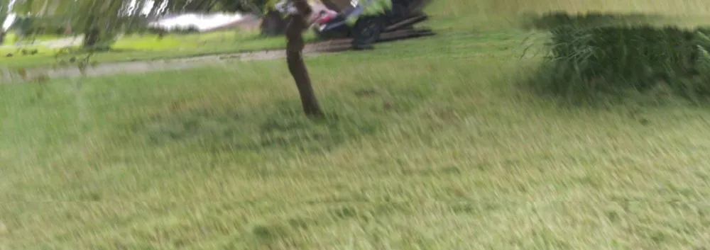 Affordable landscape installation for outdoor upgrades in Bossier City, LA by Rosie Lee's Services