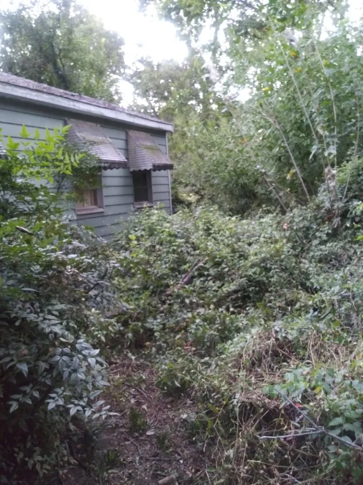 Trusted outdoor landscaping in Bossier City, LA - Rosie Lee's Services