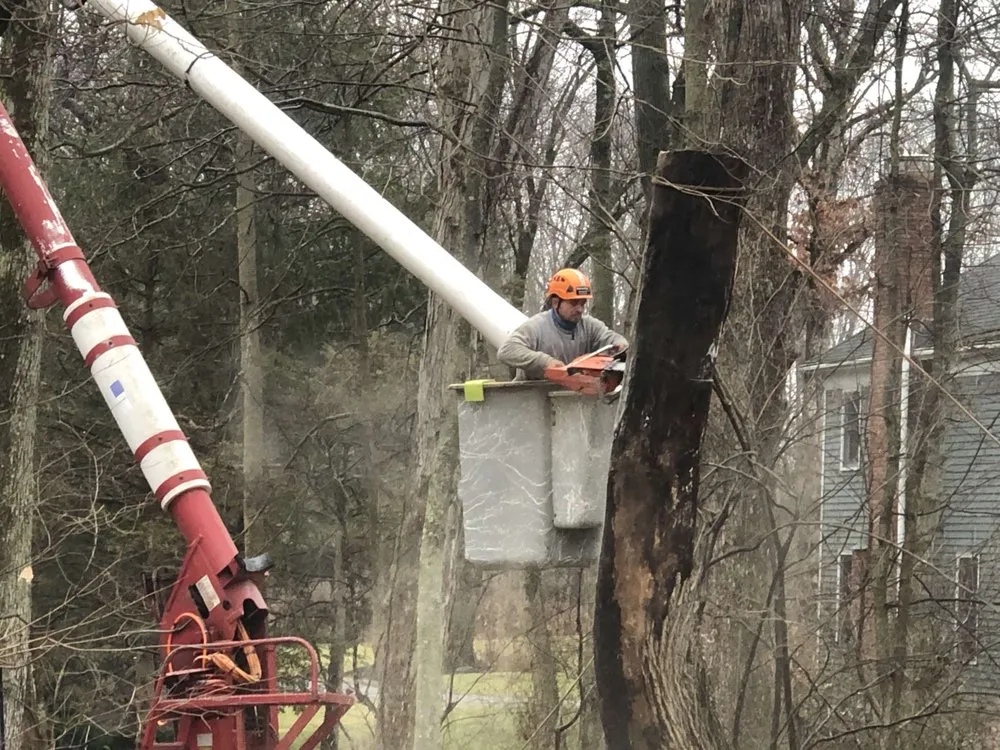 Local residential landscaping experts serving Wilton, CT - Rosie Tree and Land Care