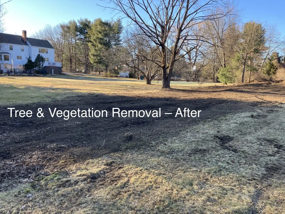 Reliable lawn mowing service experts serving Wilton, CT - Rosie Tree and Land Care