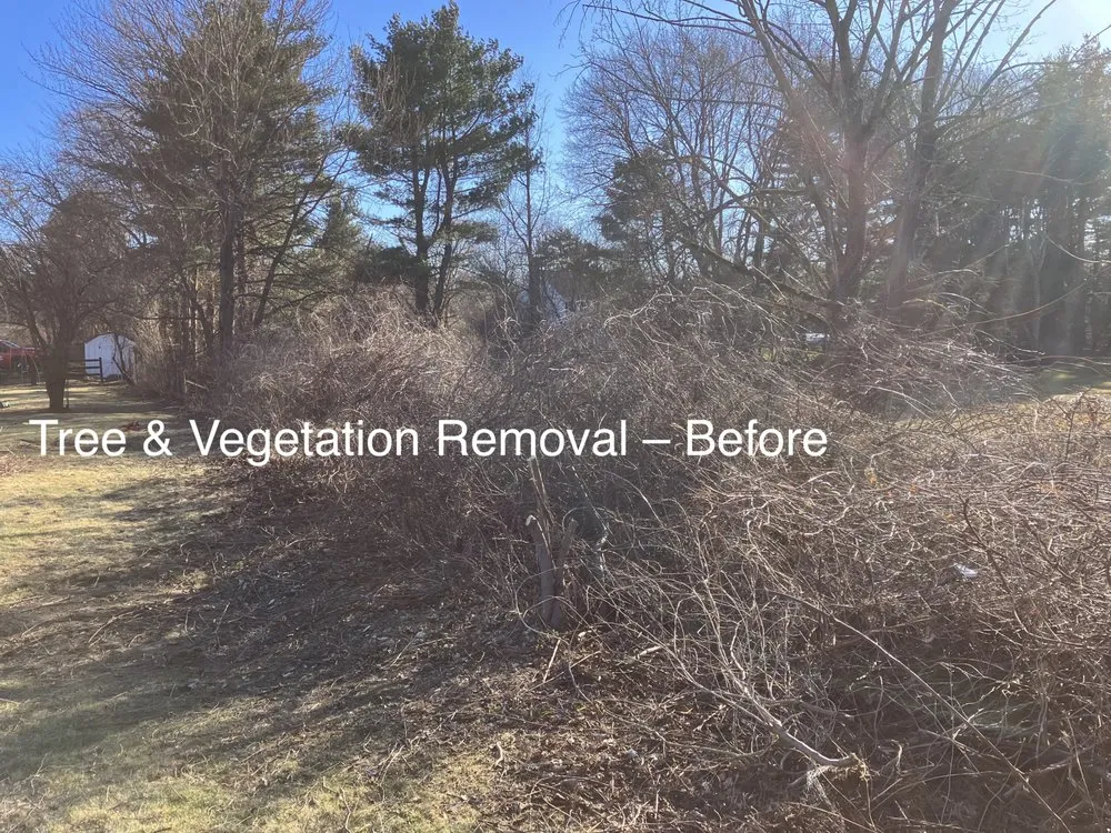 Custom garden landscaping in Wilton, CT - Rosie Tree and Land Care