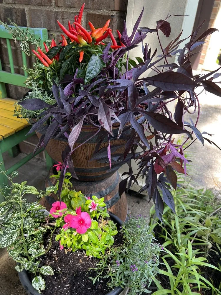 Reliable landscape installation for homes in Indianapolis, IN by Rosie’s Gardens & Hughes Landscape