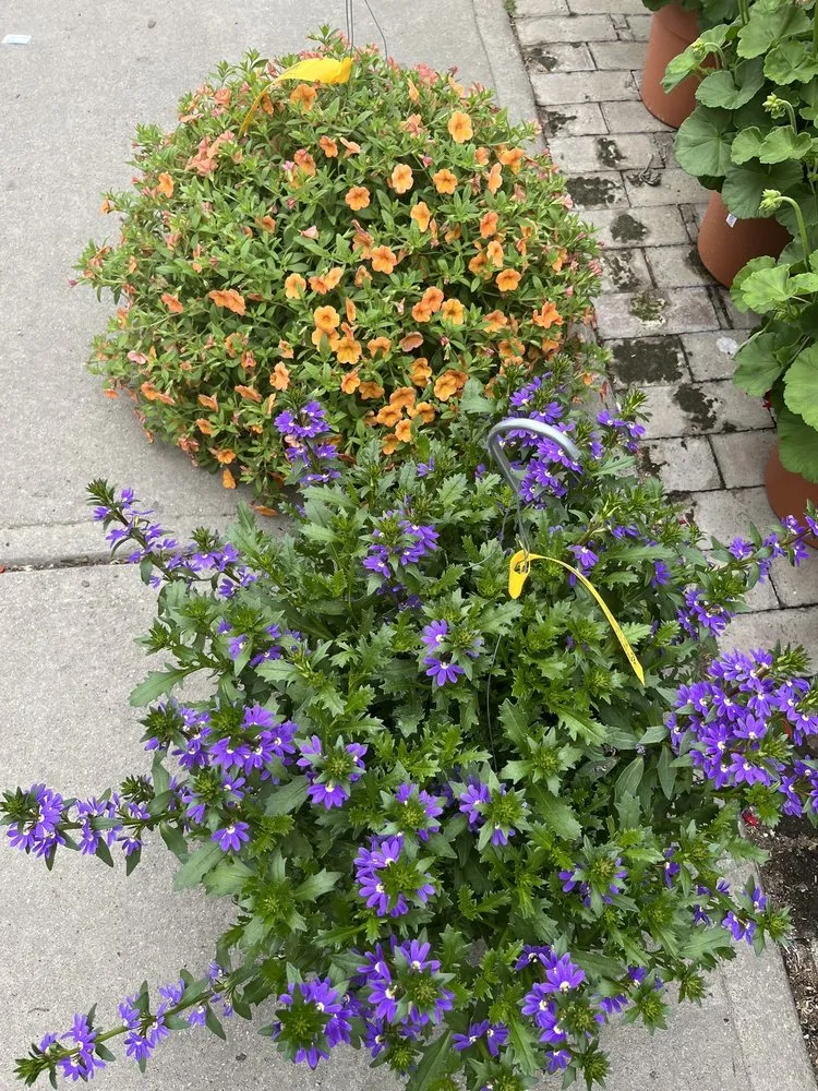 Trusted landscape design for homes in Indianapolis, IN by Rosie’s Gardens & Hughes Landscape