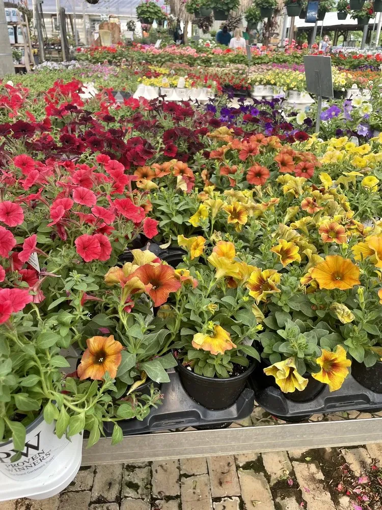 Expert lawn care service for residential properties in Indianapolis, IN by Rosie’s Gardens & Hughes Landscape