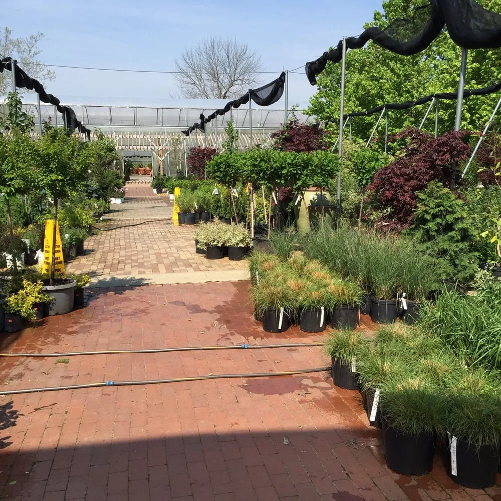 Custom lawn care service in Indianapolis, IN by Rosie’s Gardens & Hughes Landscape