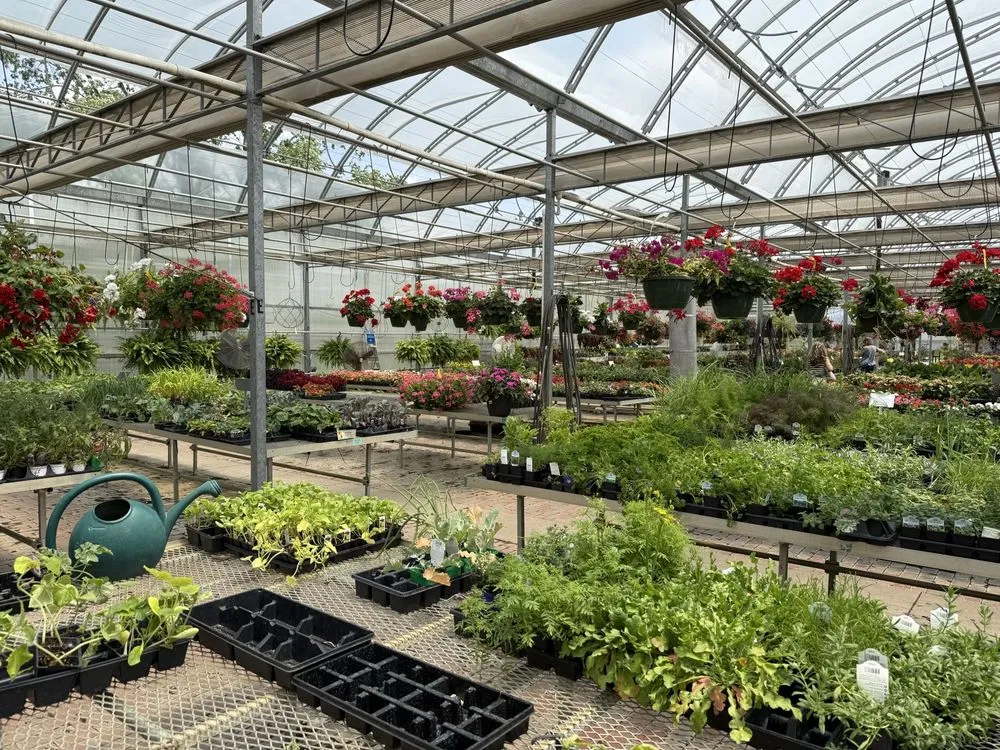 Expert lawn care service in Indianapolis, IN by Rosie’s Gardens & Hughes Landscape