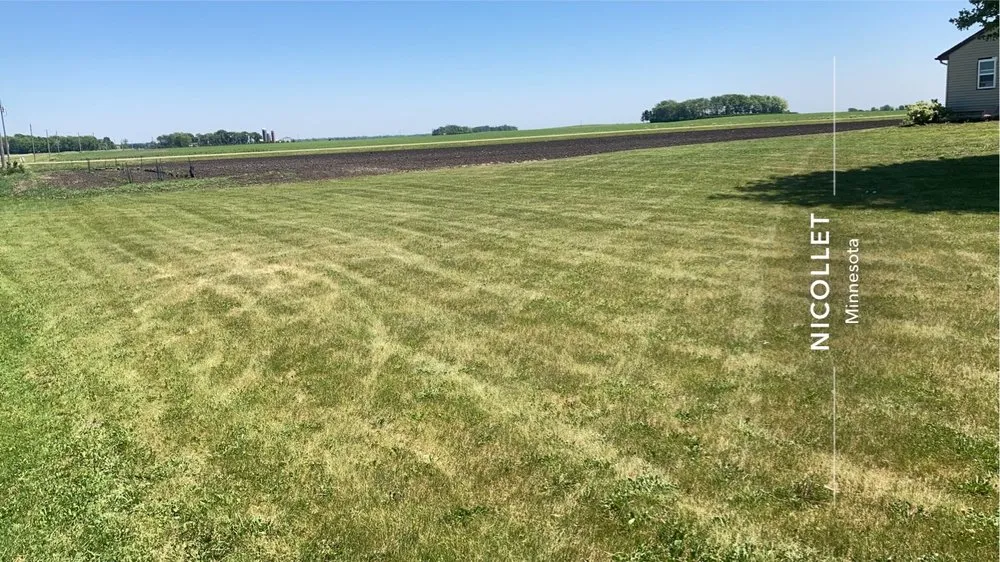 Expert yard cleanup service near you in Nicollet, MN by Rosin Bros Lawn care