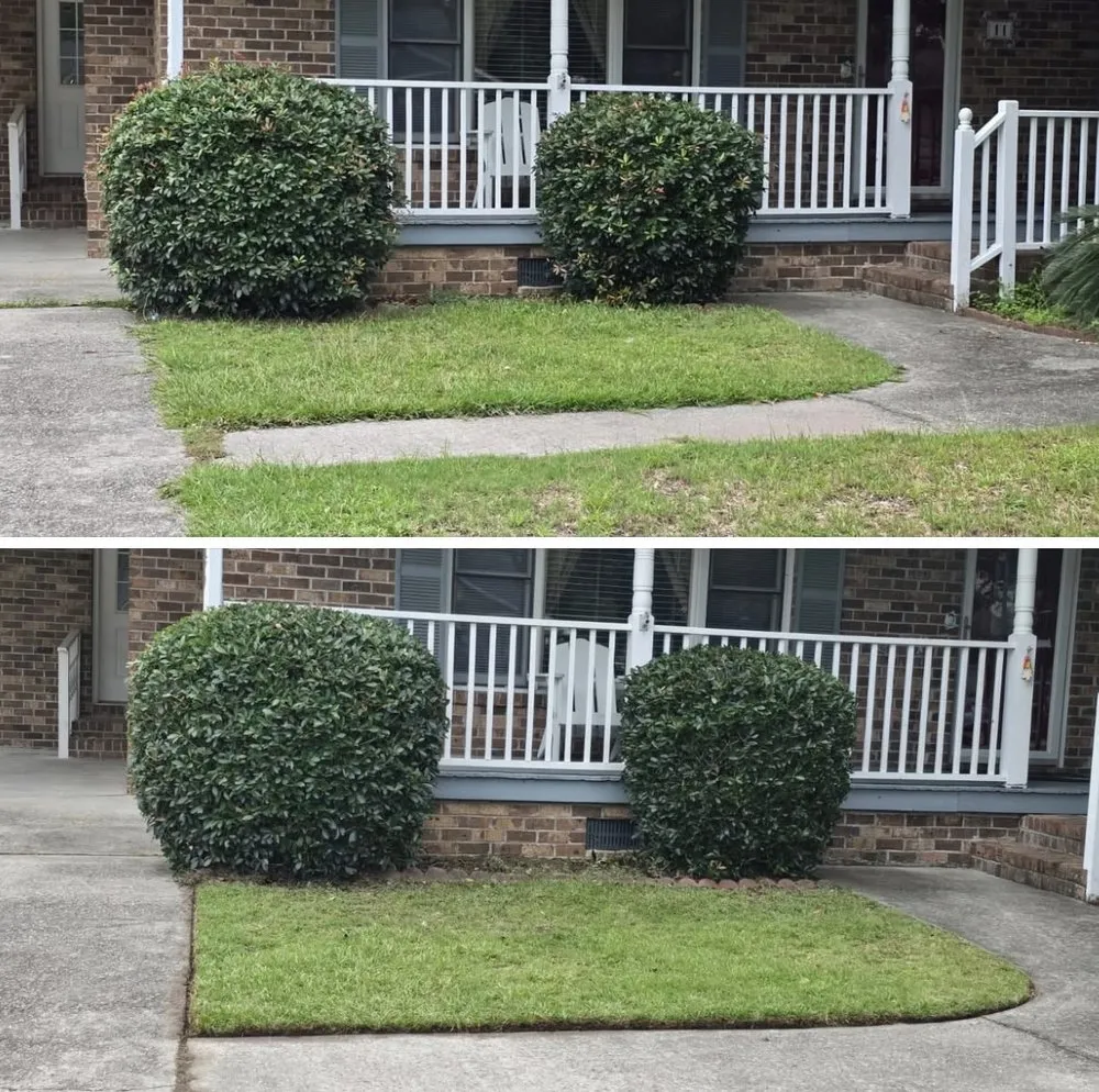Professional landscaping services in Myrtle Beach, SC - Rosi’s Cleaning Services