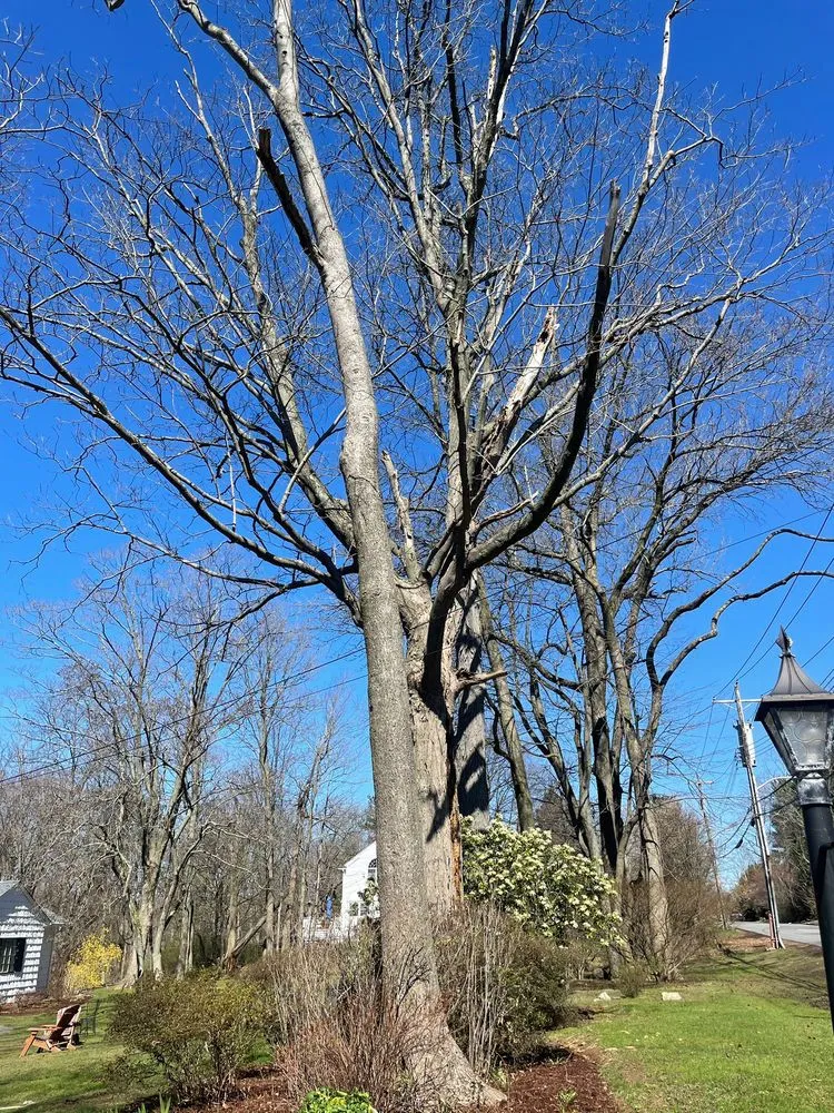 Local landscape design experts serving White Plains, NY - Rositas Landscaping