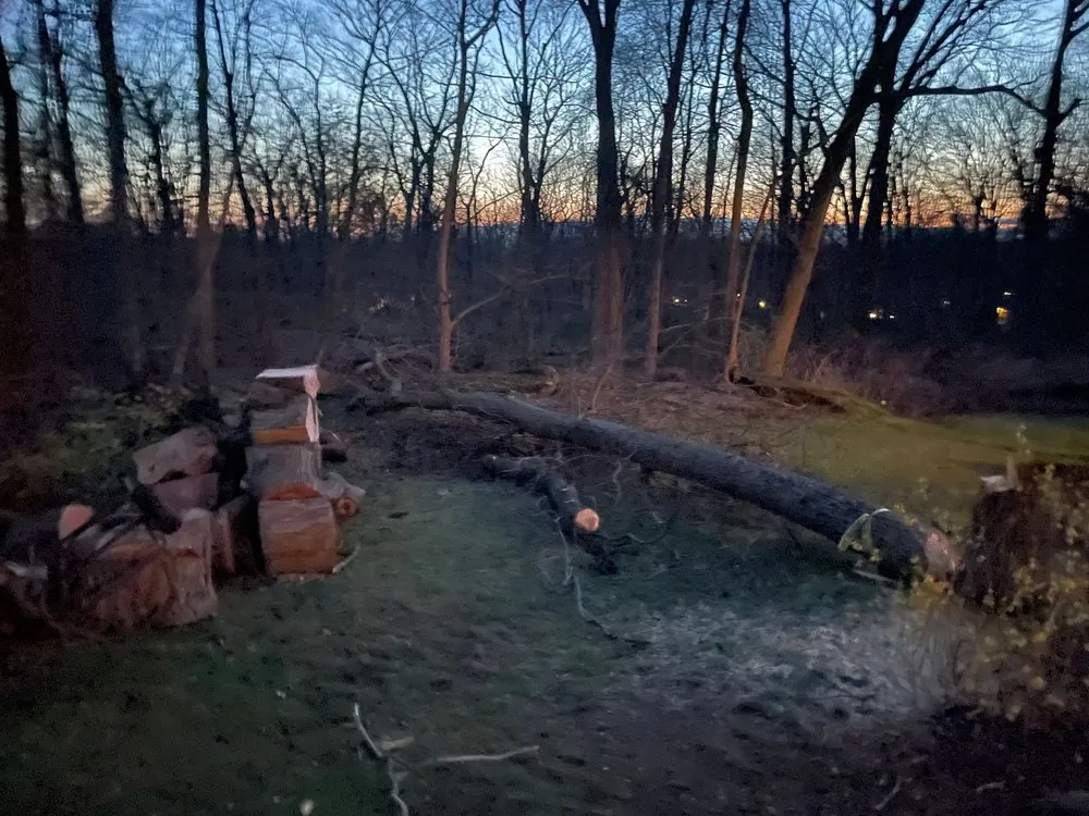 Custom lawn care service in White Plains, NY - Rositas Landscaping