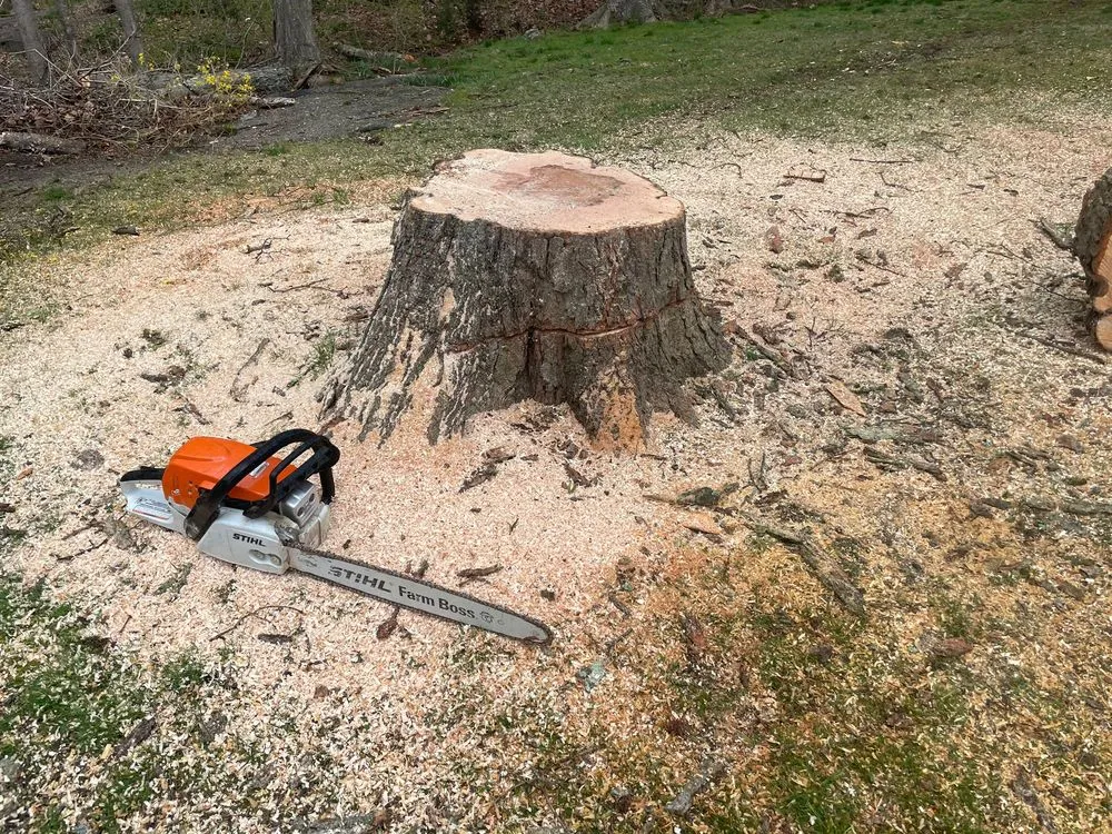 Trusted landscaping services experts serving White Plains, NY - Rositas Landscaping