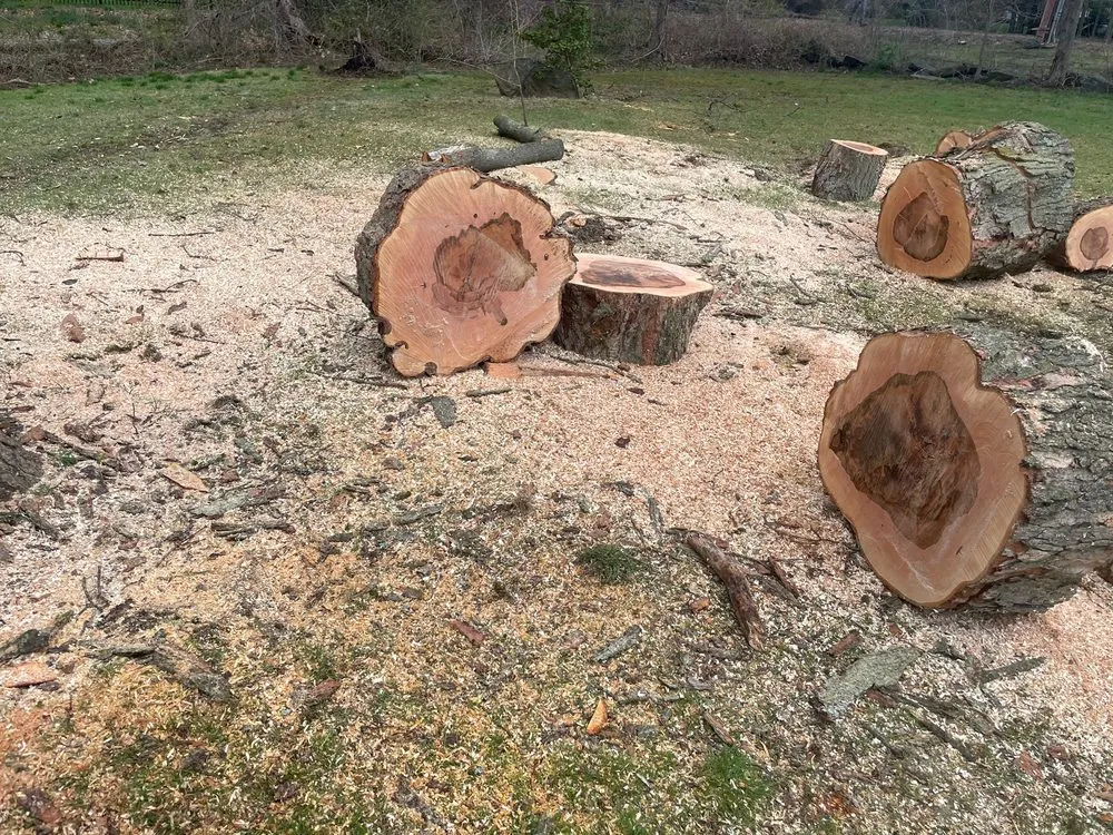 Local lawn mowing service near you in White Plains, NY by Rositas Landscaping