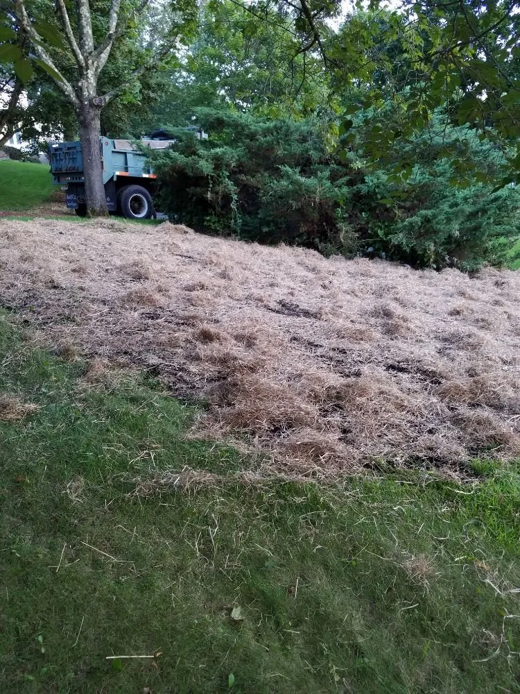 Professional yard cleanup service for residential properties across Chester, NJ - Roskam Excavating & Landscaping