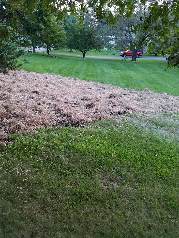 Top-rated garden landscaping in Chester, NJ - Roskam Excavating & Landscaping