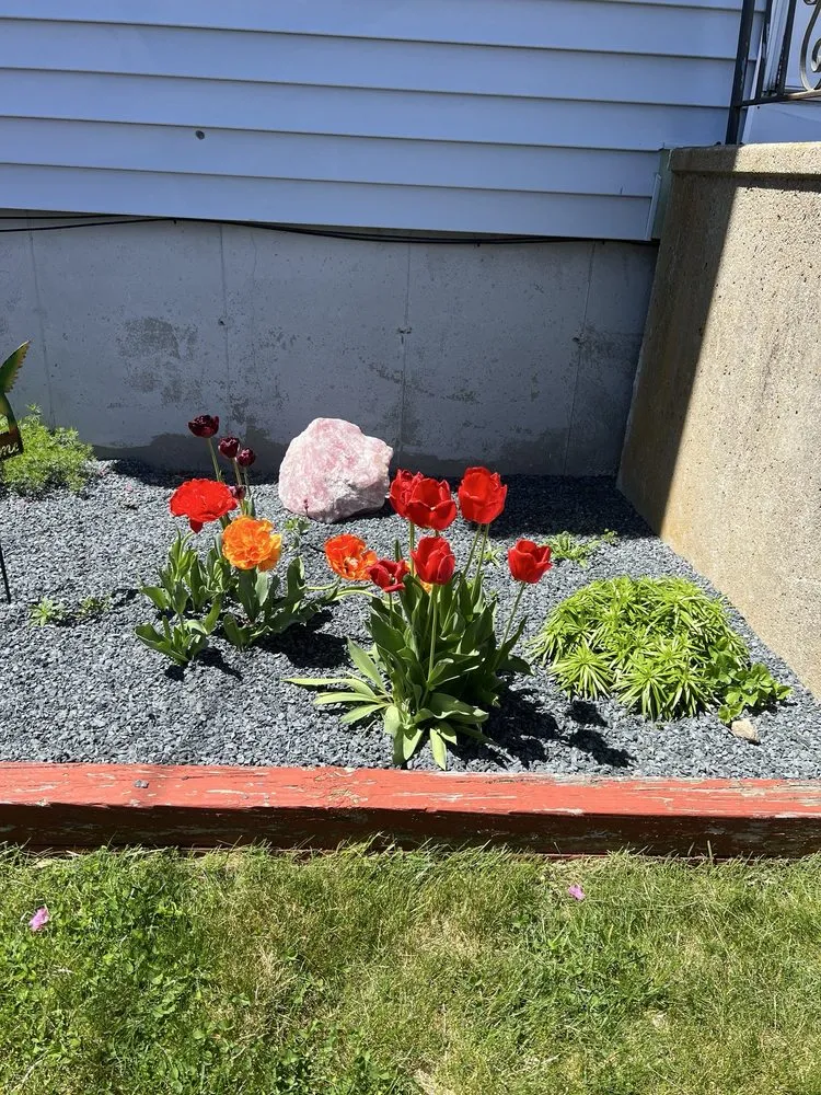 Top-rated yard maintenance experts serving New Bedford, MA - Rosonina Brothers Landscaping