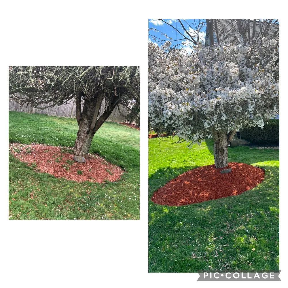 Reliable yard maintenance in New Bedford, MA by Rosonina Brothers Landscaping