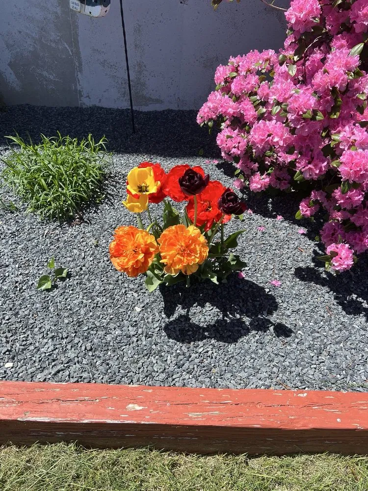 Reliable landscape installation experts serving New Bedford, MA - Rosonina Brothers Landscaping