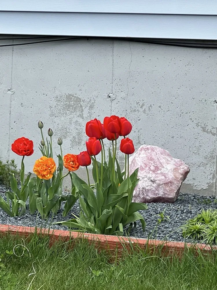 Trusted landscape installation experts serving New Bedford, MA - Rosonina Brothers Landscaping