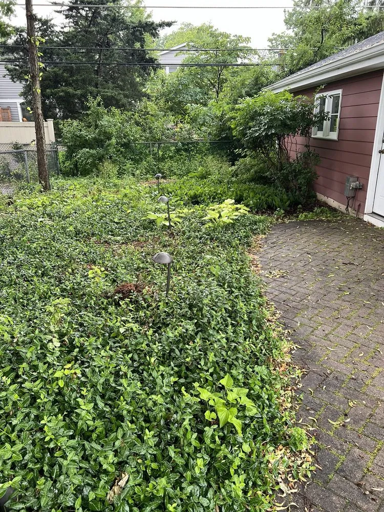 Professional outdoor landscaping for beautiful yards across Elmhurst, IL - Ross & Jack's Landscaping