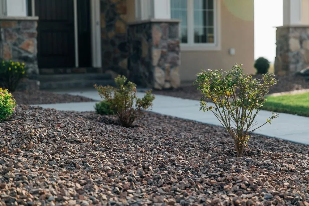 Trusted lawn care service in Cheyenne, WY - Ross Construction