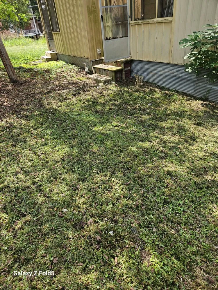 Affordable landscaping services for year-round maintenance in Vicksburg, MS by Ross Enterprises