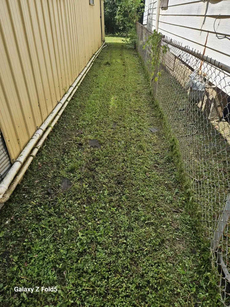 Professional landscaping services for beautiful yards in Vicksburg, MS by Ross Enterprises