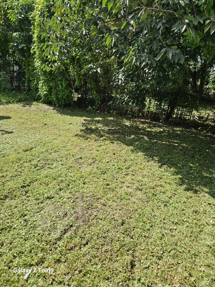 Trusted garden landscaping for year-round maintenance in Vicksburg, MS by Ross Enterprises