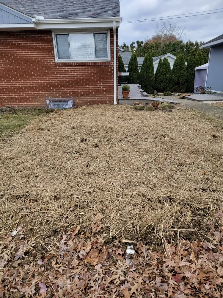 Custom landscaping services with custom design across Zelienople, PA - Ross Excavating