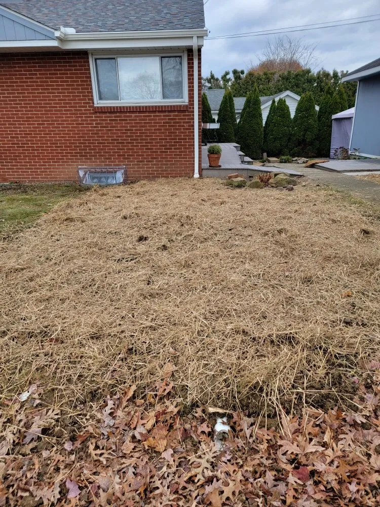 Affordable outdoor landscaping experts serving Zelienople, PA - Ross Excavating