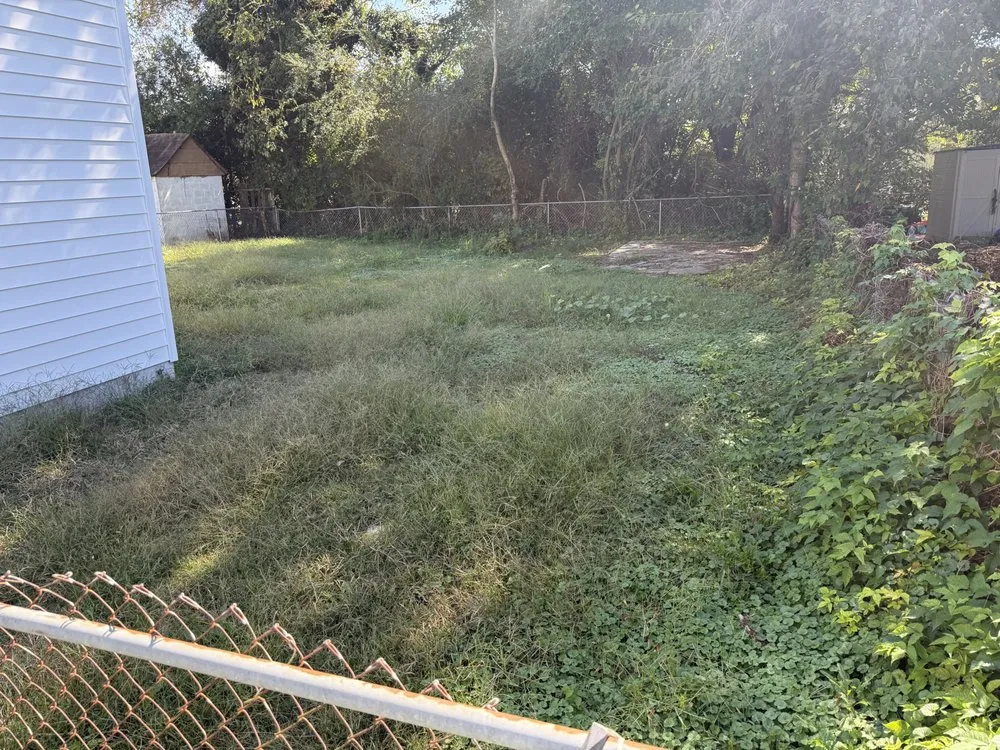 Reliable yard cleanup service for beautiful yards across Moseley, VA - Ross Family Lawn Care