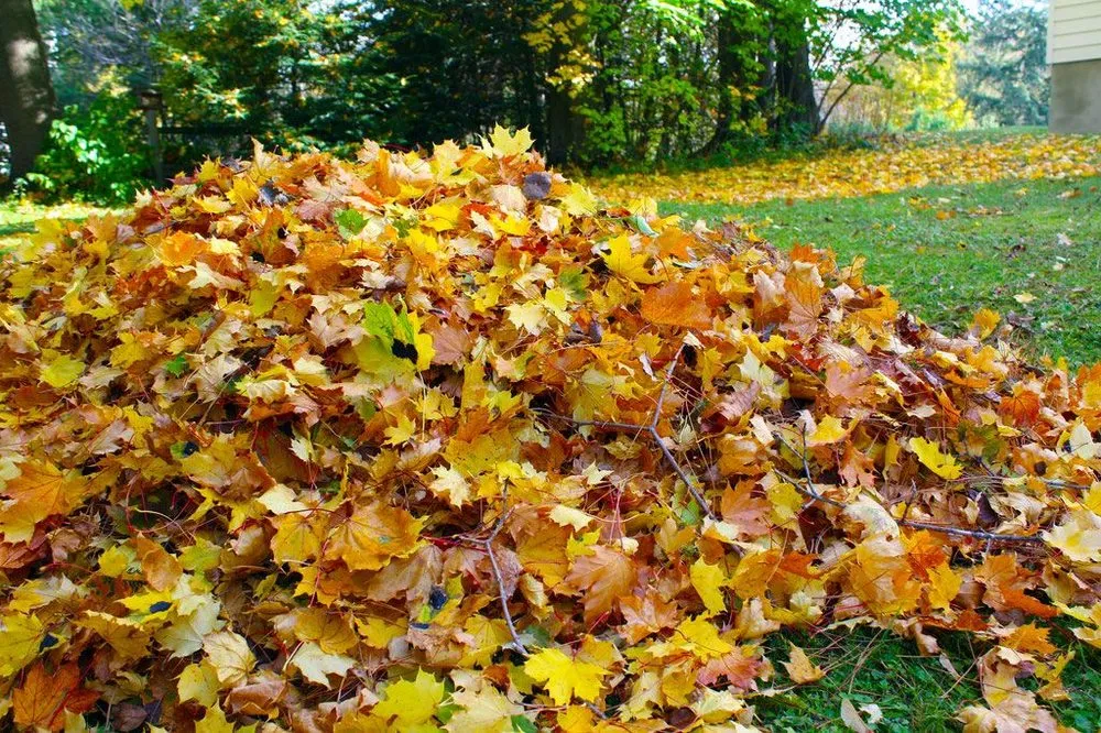 Affordable garden landscaping in West Chester, PA by Ross Landscape and Paving Services