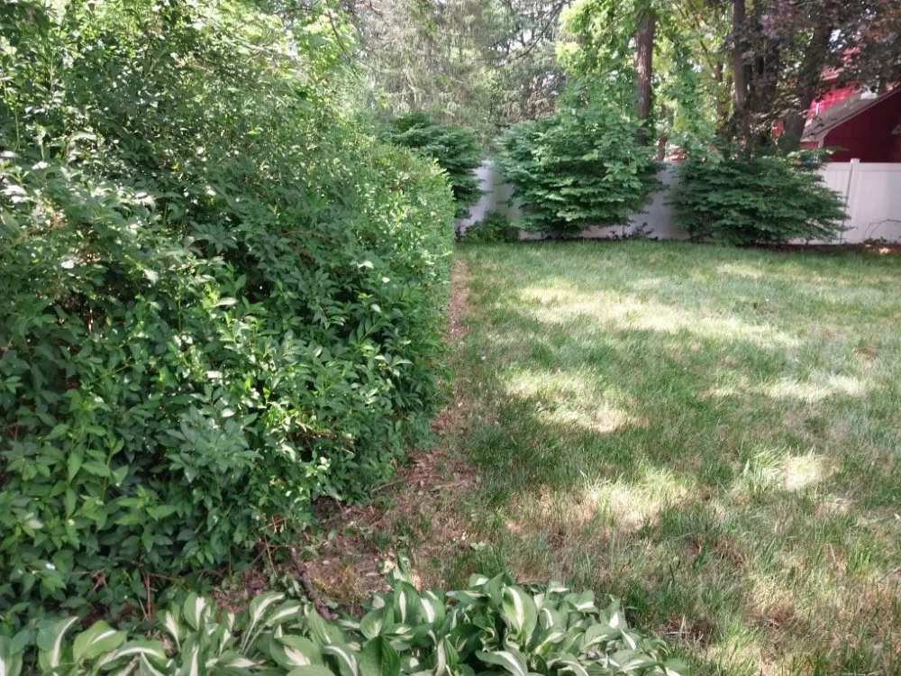 Expert landscaping services for year-round maintenance in Ogdensburg, NJ by Ross' Landscaping
