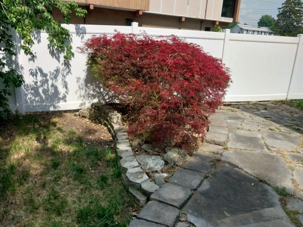 Affordable yard cleanup service in Ogdensburg, NJ - Ross' Landscaping
