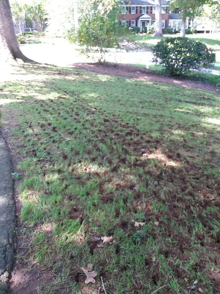 Top-rated garden landscaping for homes across Morganton, NC - Ross Lawn Care