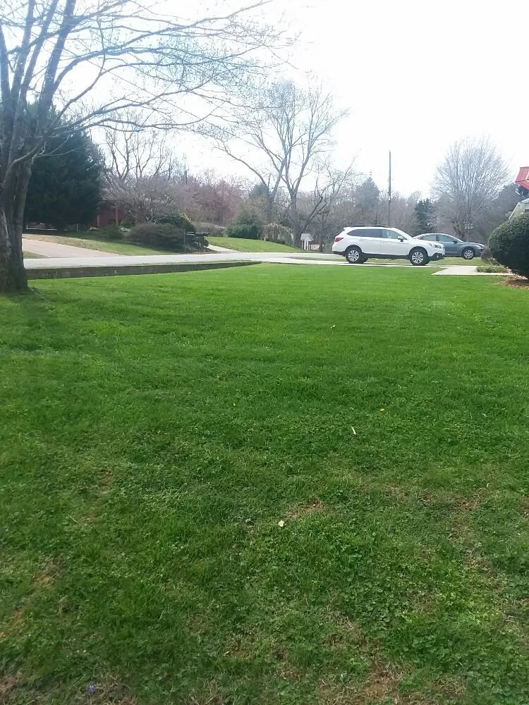 Reliable yard cleanup service in Morganton, NC by Ross Lawn Care