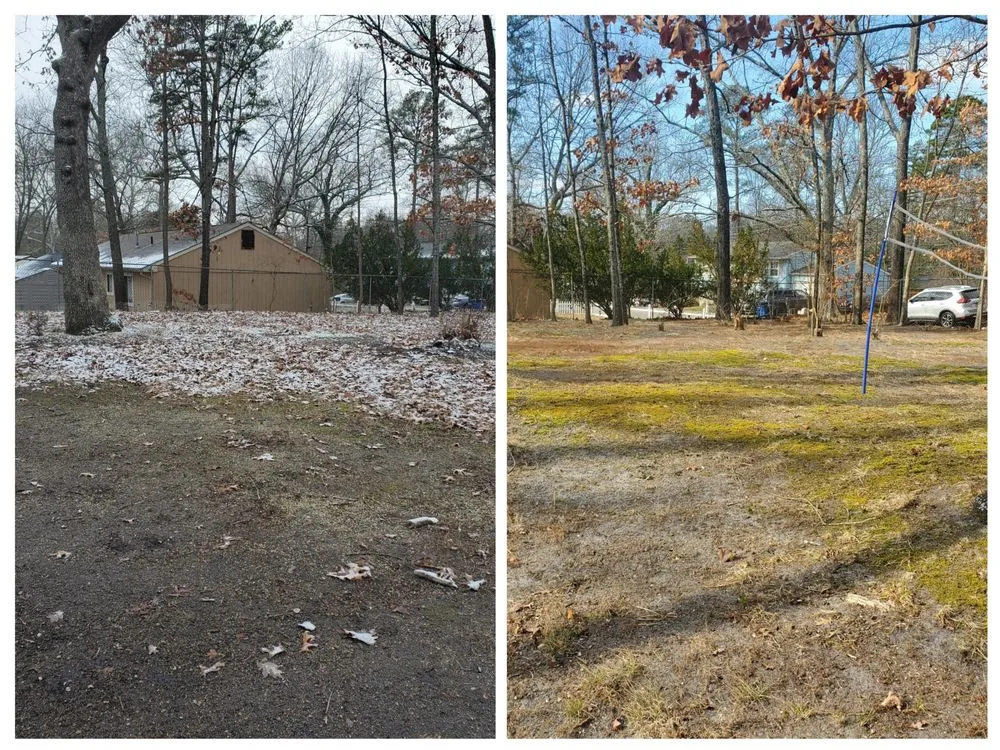 Affordable lawn care service for beautiful yards across Browns Mills, NJ - Ross Lawn Maintenance