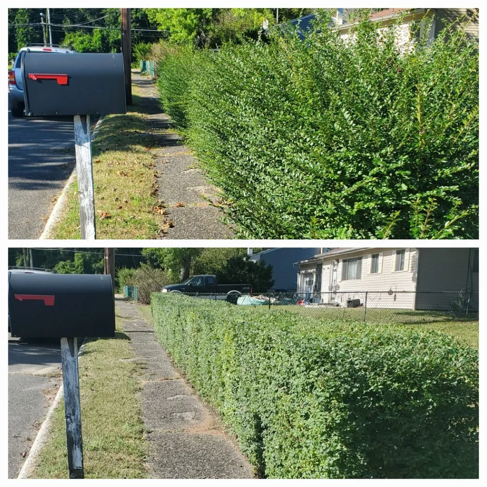 Top-rated yard maintenance in Browns Mills, NJ by Ross Lawn Maintenance