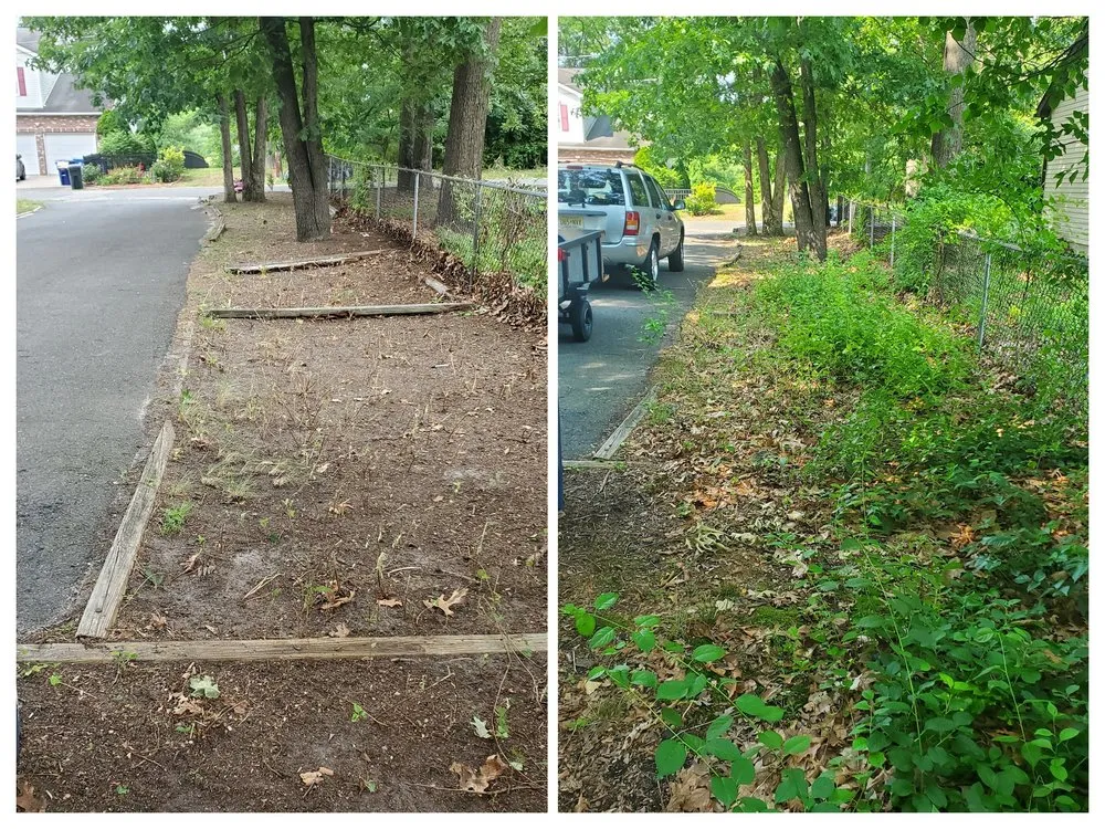 Affordable landscape installation in Browns Mills, NJ by Ross Lawn Maintenance