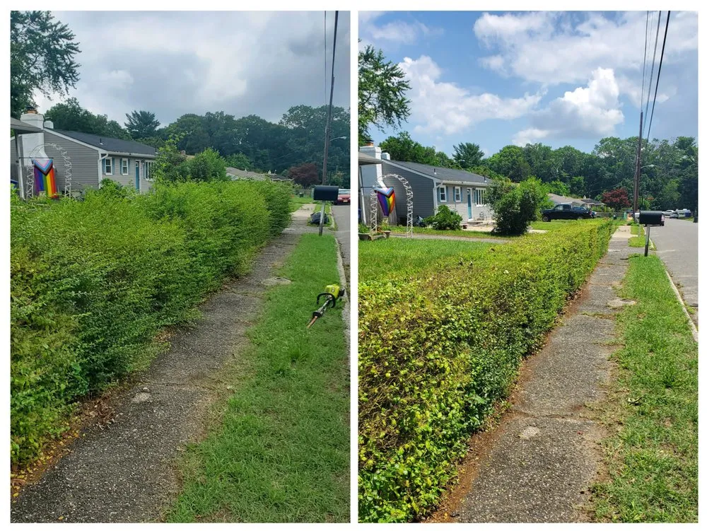 Affordable lawn care service experts serving Browns Mills, NJ - Ross Lawn Maintenance