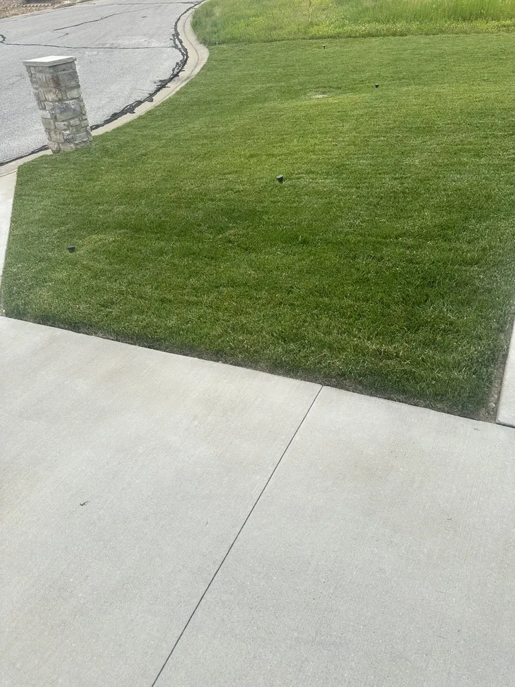 Expert residential landscaping in Caseyville, IL by Ross Lawncare