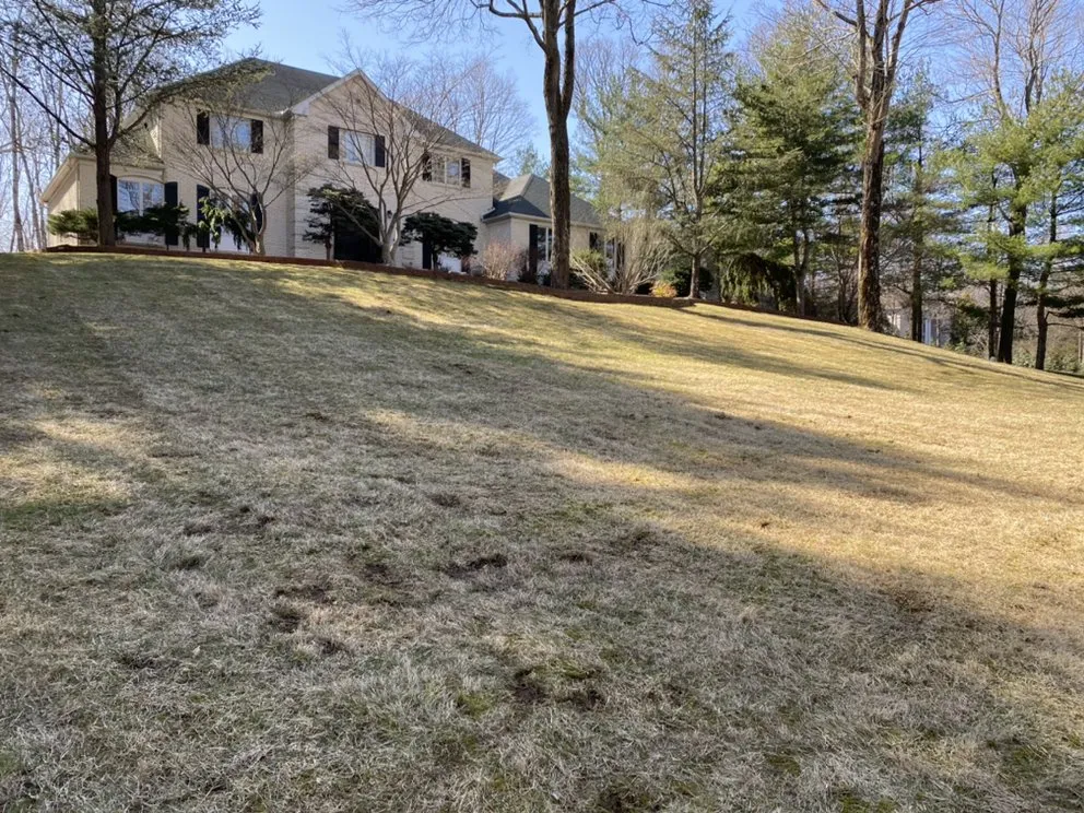 Expert outdoor landscaping experts serving South Plainfield, NJ - Ross' Lawncare